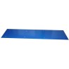 PL0005 - METHACRYLATE DC. STRIP (BLUE) (14x54 cm x Inch 5,51x21,21)
